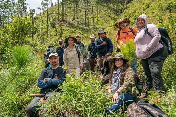 Planting team